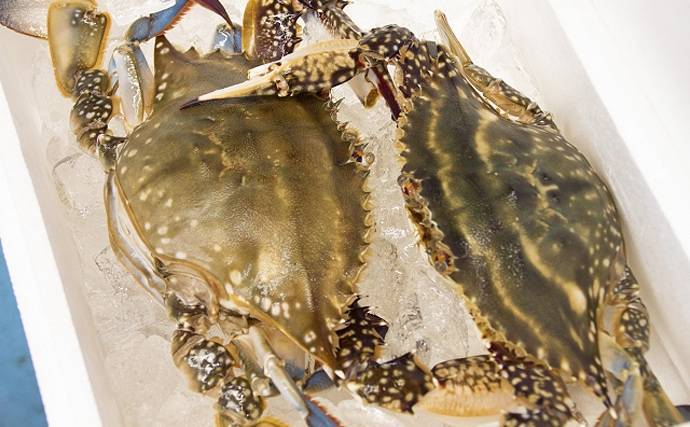 湯浅ふるさと会ｓｎｓ